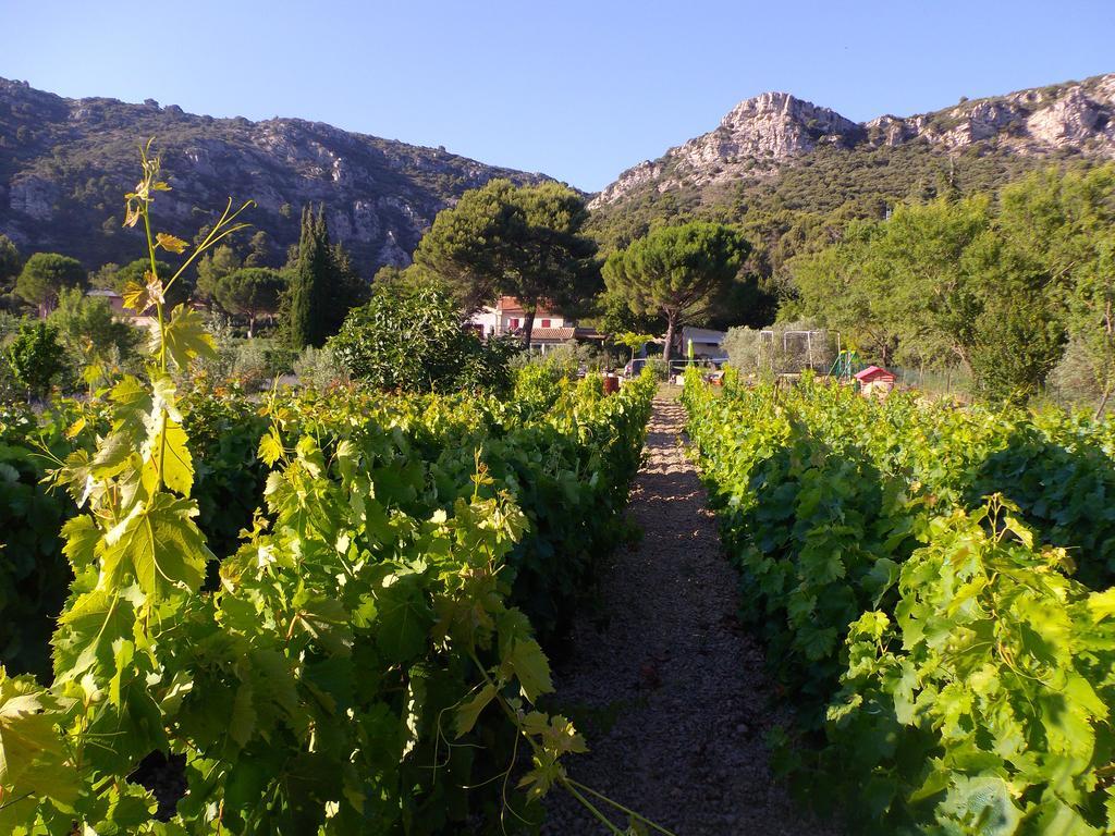 Au Havre De Paix Sainte Victoire Vauvenargues Hotel Kültér fotó
